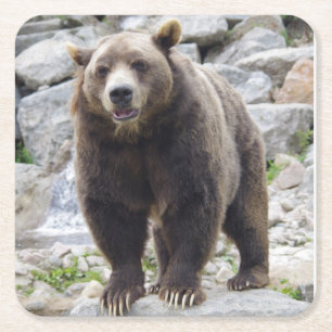 Kodiak Bear Standing on a Rock Rechteckiger Pappuntersetzer