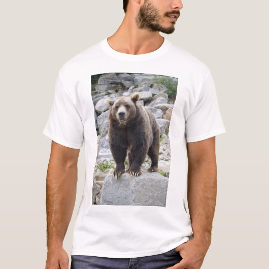 Kodiak Bear T-Shirt (Vorderseite)