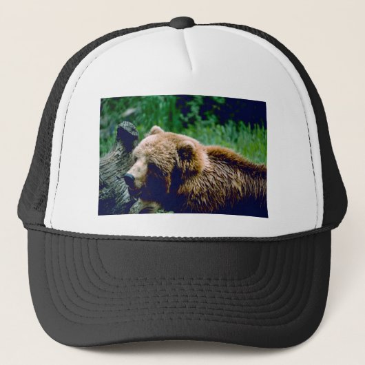 Kodiak-Braunbär Truckerkappe (Vorderseite)