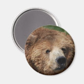 Kodiak Brown Bear Magnet (Vorderseite/Rückseite)