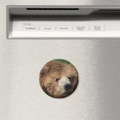 Kodiak Brown Bear Magnet (In Situ (Geschirrspüler))