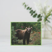 Kodiak Brown Bear Postkarte (Stehend Vorderseite)