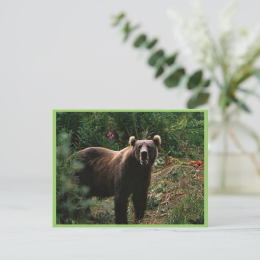 Kodiak Brown Bear Postkarte (Stehend Vorderseite)