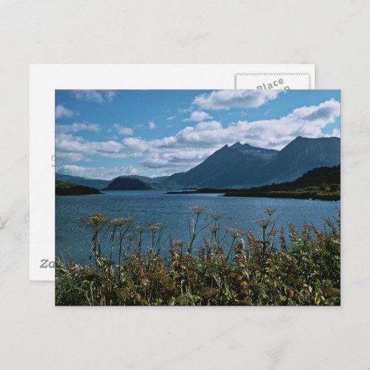 Kodiak National Wildlife Refuge Postkarte (Vorne/Hinten)