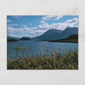 Kodiak National Wildlife Refuge Postkarte (Vorderseite)