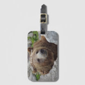 Kodiakbär Gepäckanhänger (Vorderseite Vertikal)