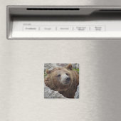 Kodiakbär Magnet (In Situ (Geschirrspüler))