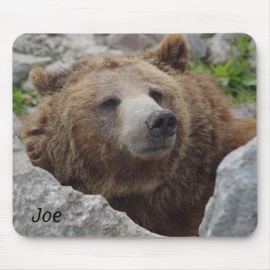 Kodiakbär Mousepad (Vorne)