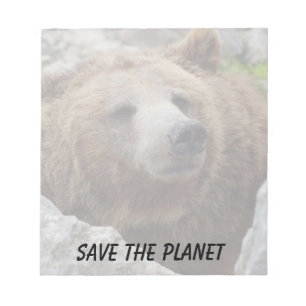 Kodiakbär Notizblock