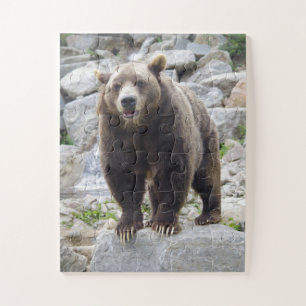 Kodiakbär Puzzle