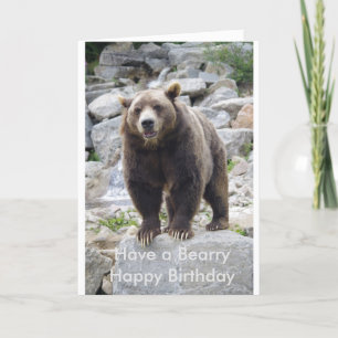 Kodiakbär steht auf einem Felsen Karte