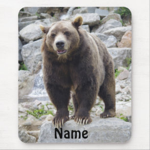 Kodiakbär steht auf einem Felsen Mousepad