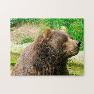 Kodiakbären. Puzzle