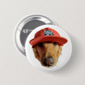 Kody Button (Vorne & Hinten)