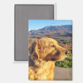 Kody Magnet (Vorderseite/Rückseite)