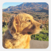 Kody Sticker (Vorderseite)