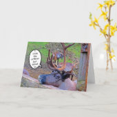 Koffein des Rentiers in der Karte geklopft (Gelbe Blume)