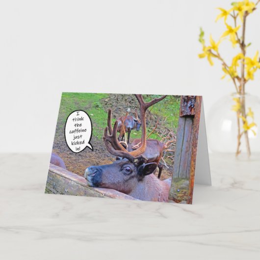 Koffein des Rentiers in der Karte geklopft (Gelbe Blume)