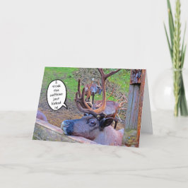 Koffein des Rentiers in der Karte geklopft