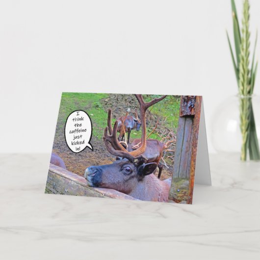 Koffein des Rentiers in der Karte geklopft (Vorderseite)