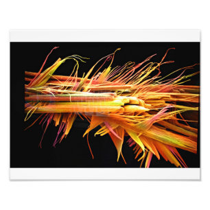 Koffein-Kristall-Druck Fotodruck