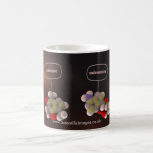 Koffein und Adenosin Kaffeetasse