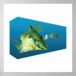 Kofferfisch - Design Gradient Blau Hintergrund | Poster
