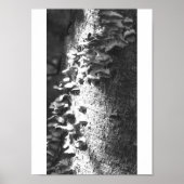 Kofferraum Poster (Vorne)