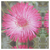 Kogniet Stoff (Nahaufnahme)