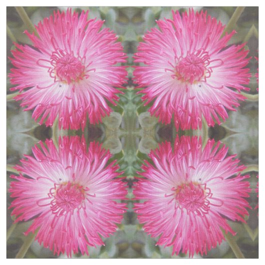 Kogniet Stoff (Muster)