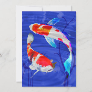 Kohaku Duo in Deep Blue Pond Einladung
