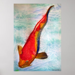 Kohaku Koi Fisch Original Aquarellkunst Poster