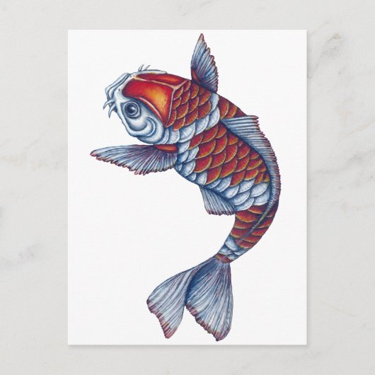 Kohaku Koi Fish Postkarte (Vorderseite)