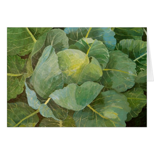 Kohl (Vorderseite (Horizontal))