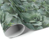 Kohl Geschenkpapier (Rolleneckpunkt)