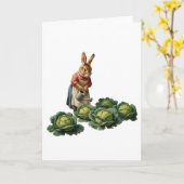 Kohl-Kaninchen Karte (Gelbe Blume)