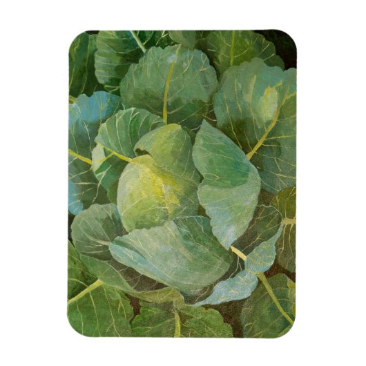 Kohl Magnet (Vertikal)