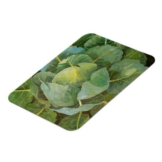 Kohl Magnet (Linke Seite)