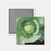 Kohl Magnet (Vorderseite/Rückseite)