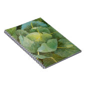 Kohl Notizblock (Rechte Seite)