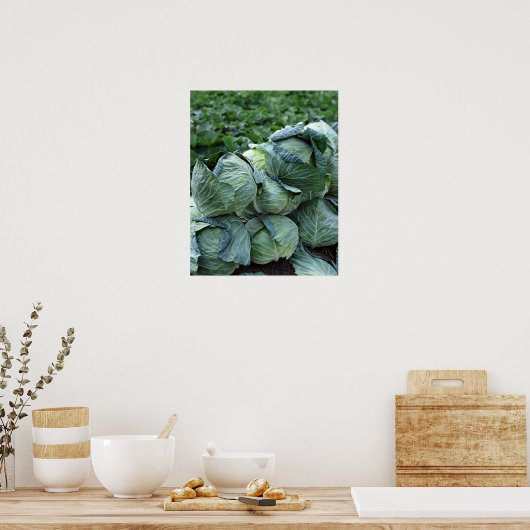 Kohl Poster (Küche)