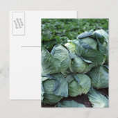 Kohl Postkarte (Vorne/Hinten)