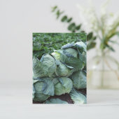 Kohl Postkarte (Stehend Vorderseite)