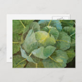 Kohl Postkarte (Vorne/Hinten)