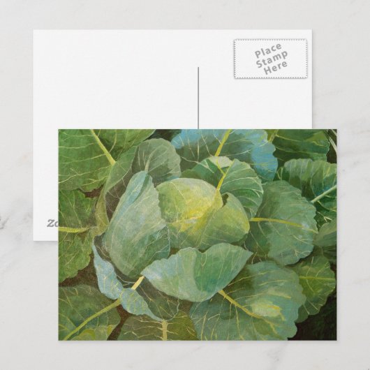 Kohl Postkarte (Vorne/Hinten)