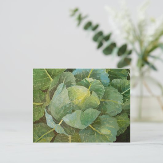 Kohl Postkarte (Stehend Vorderseite)