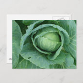 Kohl Postkarte (Vorne/Hinten)