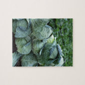 Kohl Puzzle (Horizontal)