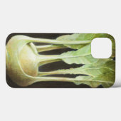 Kohl Rabi 2012 Case-Mate iPhone Hülle (Rückseite (Horizontal))