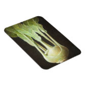 Kohl Rabi 2012 Magnet (Rechte Seite)